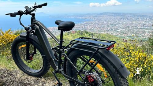 A day in the nature of Vesuvio National Park in Campania with a group e-bike excursion