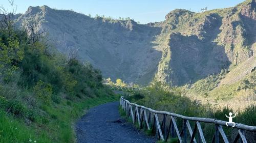 A leisurely walk along the slopes of Vesuvio with stunning panoramic views, ideal for corporate events or team building activities in Campania