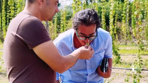 What to gift beer lovers in Campania: an experience in a brewery with tasting