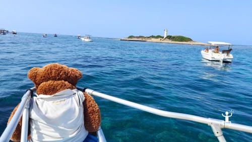 Corporate team building activity with a boat tour to the island of Licosa, along the Cilento coast