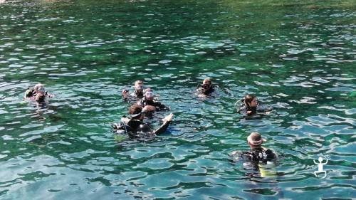 Group experience with diving up to 10 meters with Open Water Diver certification in Agropoli, Campania.