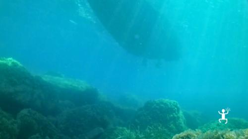 Dive along a beautiful cliff wall leading to the enchanting Gates of Atlantis in Cilento, Campania.