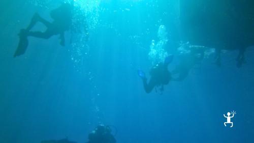 Gift a gift card for a diving experience up to 10 meters in Cilento, Campania.