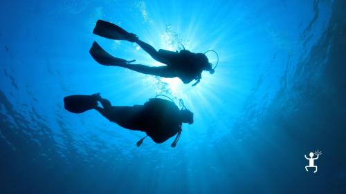 scuba diving, within the limits of the marine protected area, will take you to explore a seabed of more than 30 meters with diving certification