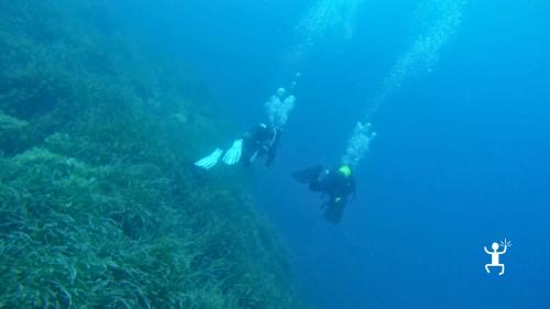 Use your Open Water Diver certification for diving in an untouched bay along the Cilento coast, Campania.