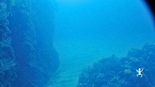 Experience for experienced divers with Open Water Diver certification in Campania