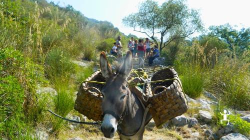 Discover the ancient broom fiber spinning technique still in use in the picturesque village of Tortorella, in the lower Cilento region near Sapri, Campania.