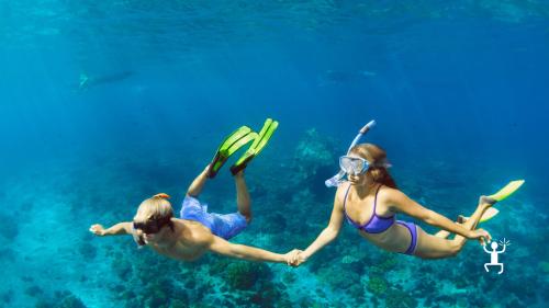 Boat adventure in Campania with multiple stops for snorkeling experiences, perfect for families or friends.