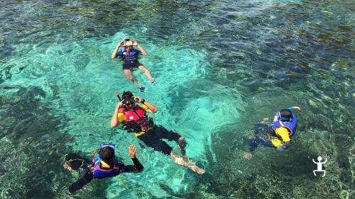 Boat adventure in Campania with multiple stops for snorkeling experiences, perfect for families or friends