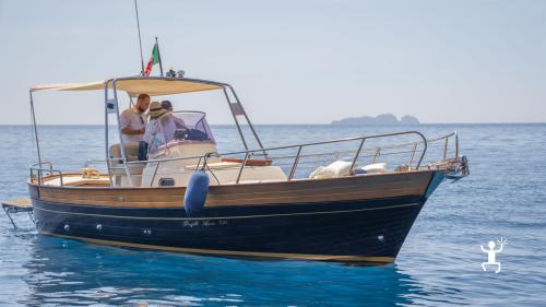 On board the Fratelli Aprea 750, an 8-meter boat equipped with every comfort, explore Amalfi, Conca dei Marini, the Fjord of Furore, Praiano, Positano, Maiori, and Minori in Campania