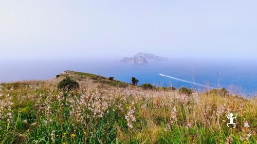 Couples' excursion to Campania with panoramic views of Capri from the Amalfi and Sorrento coasts