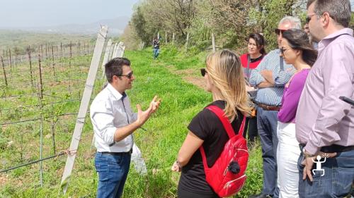 Esperienza di gruppo in un agriresort nel Sannio in Campania