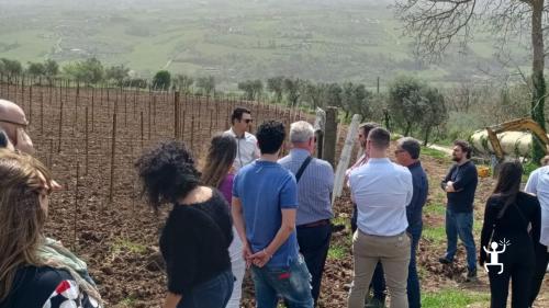 Visita guidata di gruppo in una cantina del Sannio, in Campania