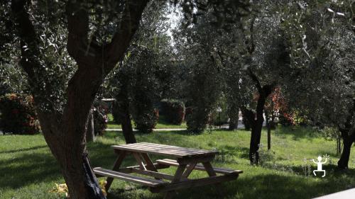 Gruppo di amiche brinda durante un picnic tra uliveti e vigneti per festeggiare un addio al nubilato a Benevento, nel Sannio.