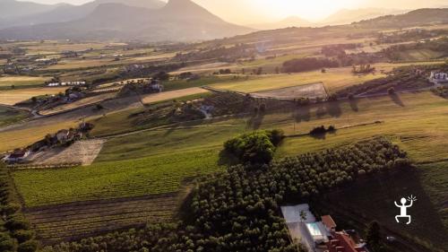 Veduta della cantina Monserrato immersa tra vigneti e uliveti sulle colline di Benevento, nel Sannio.