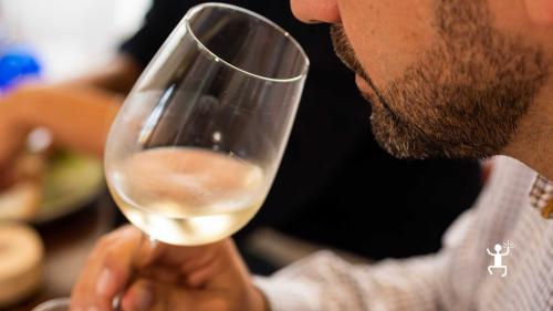 Vini del Sannio in degustazione a Benevento, tra cui Falanghina e Aglianico del Taburno, perfetti per coppie e gruppi durante un'esperienza enogastronomica in Campania.