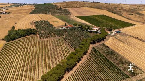 Panoramica della tenuta in Campania, che offre un'esperienza indimenticabile immersi nel paesaggio del Sannio, tra vigneti, oliveti e bellezze naturali.