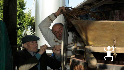 Wine tradition in the Sannio