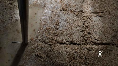 Cereali in fase di macerazione per la produzione di mosto di birra artigianale 