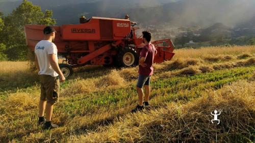 La filiera corta della birra artigianale in Campania. Mastri birrai che seguono la coltivazione dei cereali sul matese