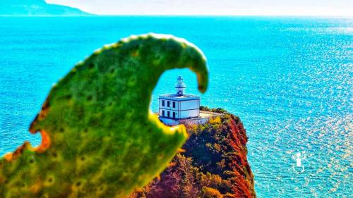 Bellissimo scatto di un fico d'indica che incornicia il faro di capo miseno di bacoli in campania