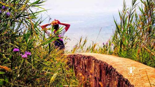 Percorso tra storia e natura nell'area Flegrea in Campania