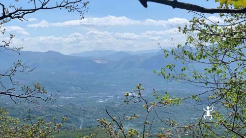 Vegetazione e flora in Irpinia Campania