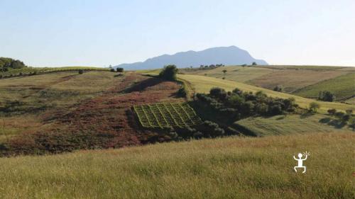 Paesaggio Irpino in Campania