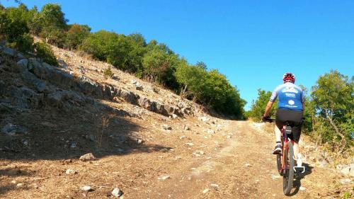 Percorso in mountainbike sul Monte Suprano