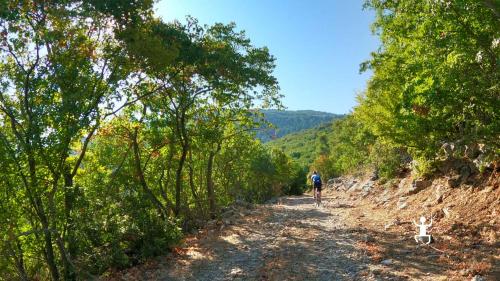 Turisti in bici con guida MTB in Campania