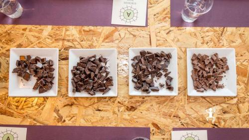 Degustazione guidata dal cioccolato al latte al cioccolato fondente in Campania a San Marco dei Cavoti