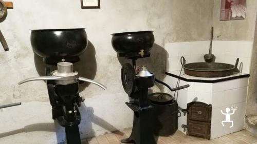 Experience the cheese museum in Campania for families in Vico Equense