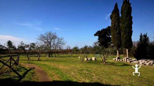 Paestum guided tour with archaeologist temples of the Greeks