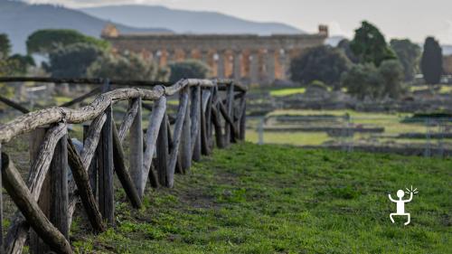 Visit to the archaeological park of Paestum experience with archaeologist