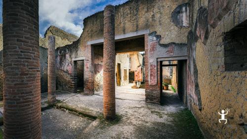 Archaeological excavations of Herculaneum tour with archaeological guide