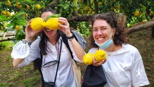 Lemon tasting and lemonade made with sfusato amalfitano lemons