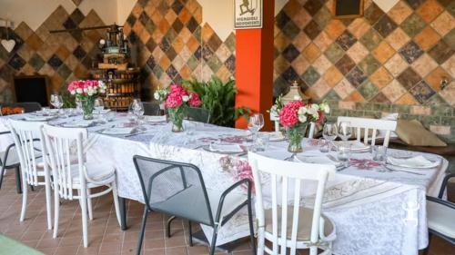 Degustazione vini e pranzo in Agriturismo nel Sannio in Campania