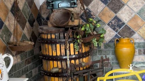 Visita e degustazione in una cantina del Sannio in Campania con vini tipici