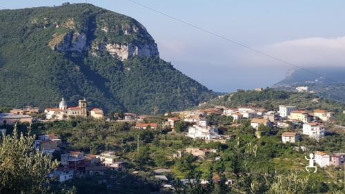 Group activity with guided excursion and tasting route in the Sorrento Peninsula in Campania for groups