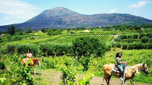 Horseback riding in Naples in Campania in the nature of the Vesuvius National Archaeological Park