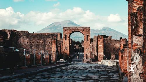 Experience Campania with guided tour of Pompeii with lunch in a winery