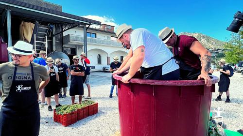 Winery experience with guided tasting and typical lunch in torrecuso