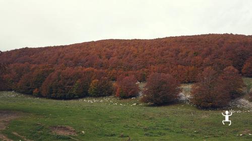 Free hike in the Matese Mountains in Campania, nature and outdoor experience