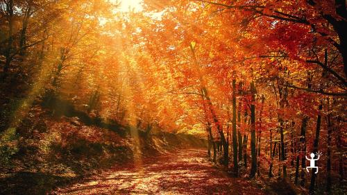 Escursione alla scoperta del foliage del Matese in Campania su Monte Orso 