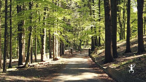 Escursione guidata in provincia di benevento nel Parco Regionale del Taburno Camposauro