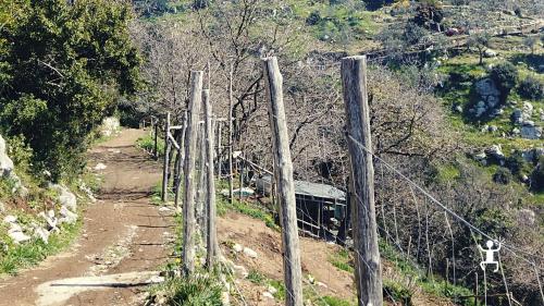 Family experience with nature hike near the Sorrento Peninsula, Campania