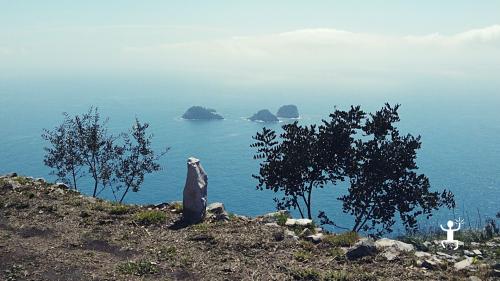 Guided tour with certified guide in the nature of Sorrento, Campania with view of Li Galli islets