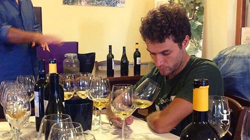 Tasting of traditional local wines for experience in Campania for groups