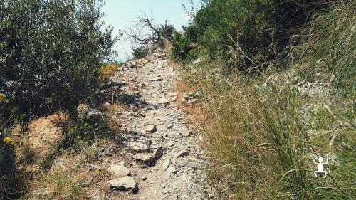 Guided excursion with AIGAE guide in the Baia di Ieranto FAI property to experience Campania, Italy