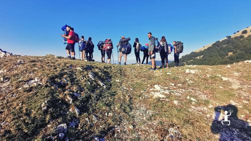 Group activities in nature for walking through the woods in Campania with an environmental hiking guide